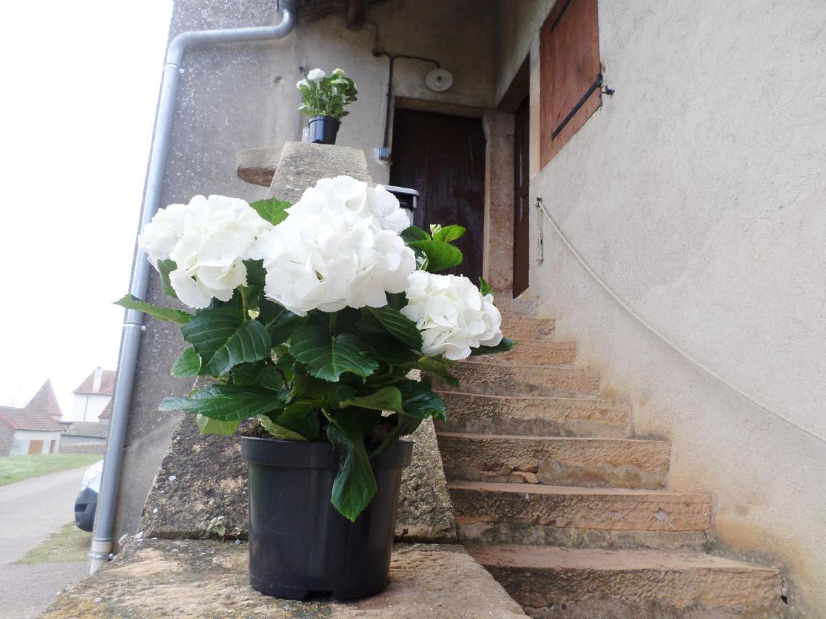 Bed and Breakfast Les Marronniers La Chapelle-sous-Brancion Exterior foto